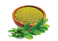 Gut ArmyIron & Folic Acid