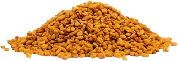 Fenugreek