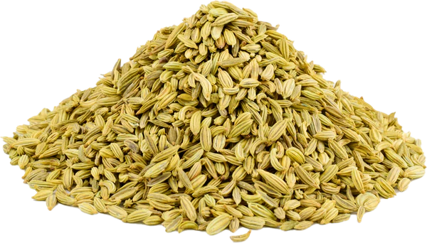 Fennel