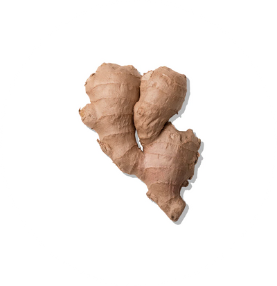 GINGER
