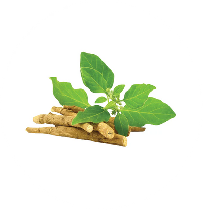 ASHWAGANDHA