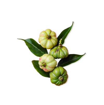 GARCINIA CAMBOGIA