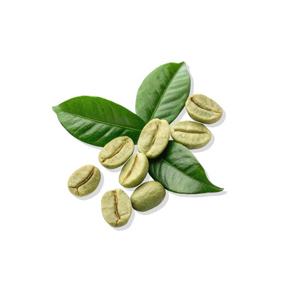 GREEN COFFEE BEAN EXTRACT