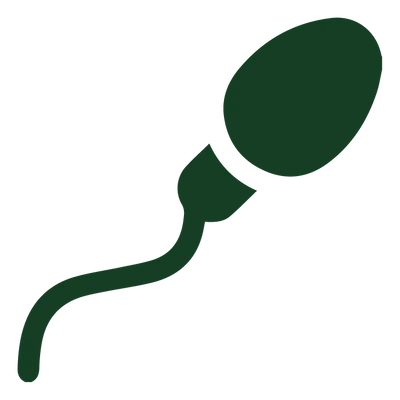 Improved Sperm Quality & Initial ED Support