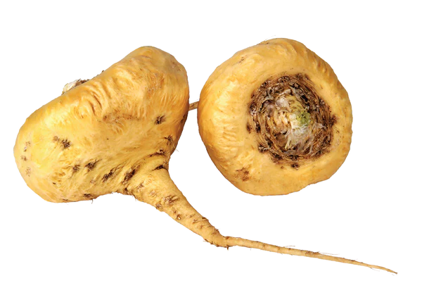 Maca Root