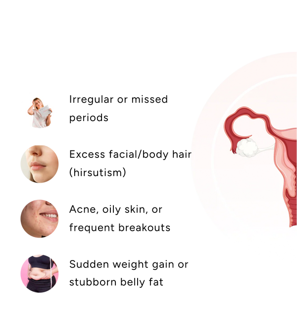 Anatomy