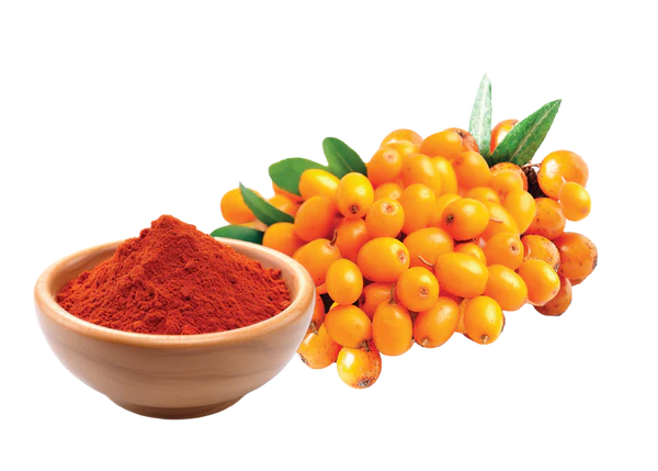Seabuckthorn Extract